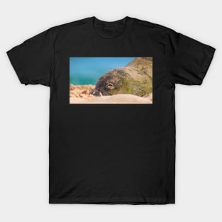 Hawaiian Monk Seal T-Shirt